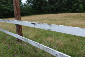 Fence Repair