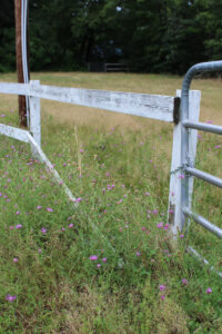 Fence Repair